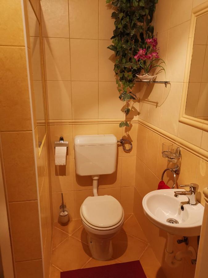 Viktor Vendeghaz Apartment Tokaj
